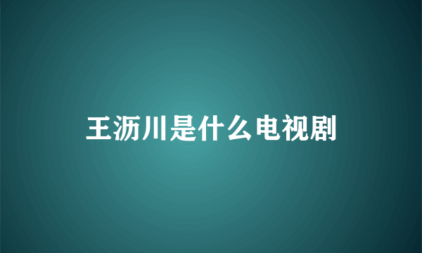 王沥川是什么电视剧