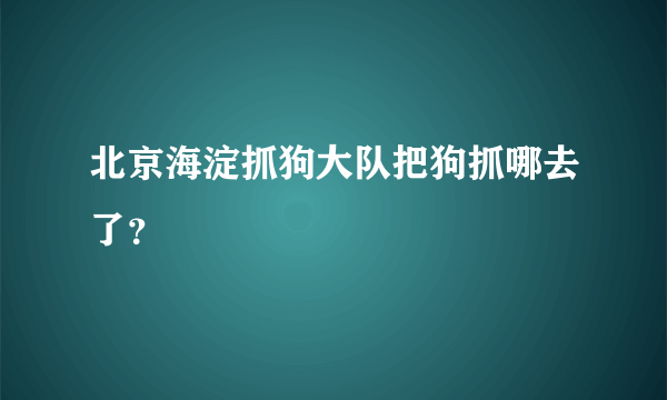 北京海淀抓狗大队把狗抓哪去了？