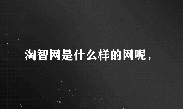 淘智网是什么样的网呢，