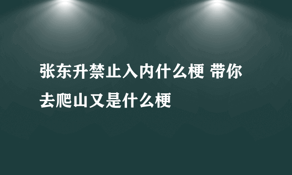 张东升禁止入内什么梗 带你去爬山又是什么梗