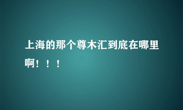 上海的那个尊木汇到底在哪里啊！！！