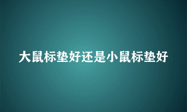 大鼠标垫好还是小鼠标垫好