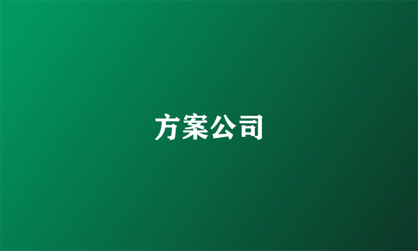 方案公司