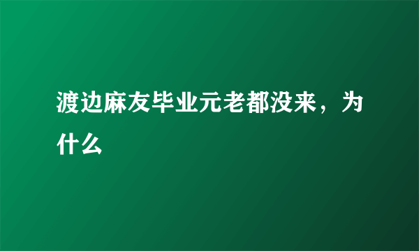 渡边麻友毕业元老都没来，为什么