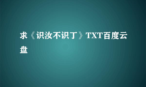 求《识汝不识丁》TXT百度云盘