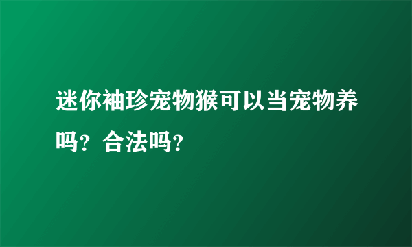 迷你袖珍宠物猴可以当宠物养吗？合法吗？