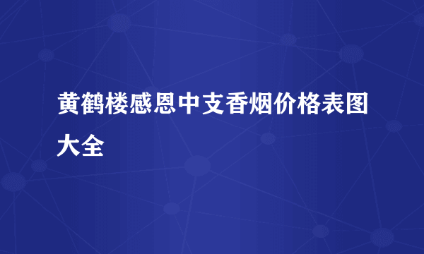 黄鹤楼感恩中支香烟价格表图大全