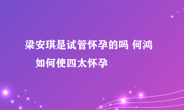 梁安琪是试管怀孕的吗 何鸿燊如何使四太怀孕