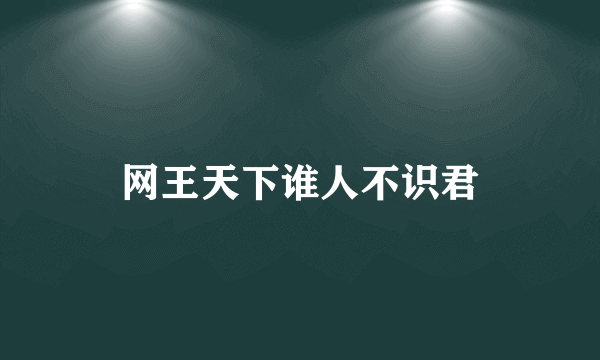 网王天下谁人不识君