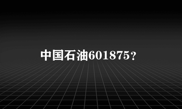 中国石油601875？