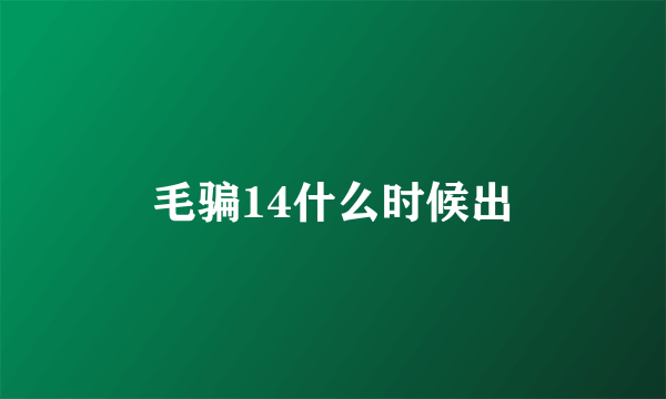 毛骗14什么时候出