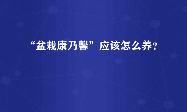 “盆栽康乃馨”应该怎么养？