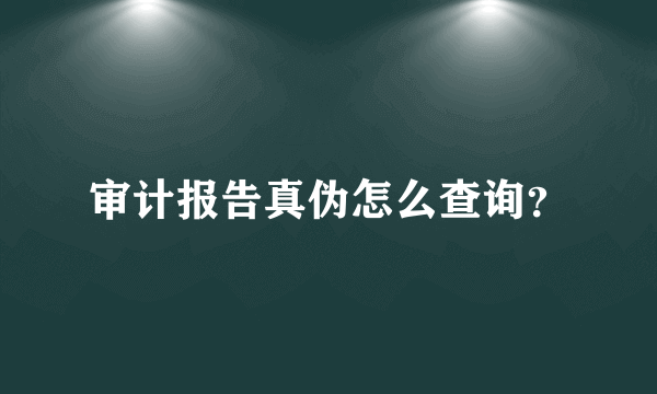 审计报告真伪怎么查询？