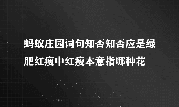 蚂蚁庄园词句知否知否应是绿肥红瘦中红瘦本意指哪种花