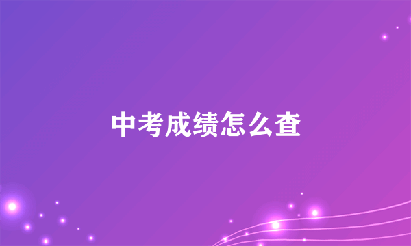 中考成绩怎么查