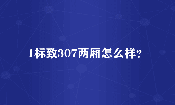 1标致307两厢怎么样？