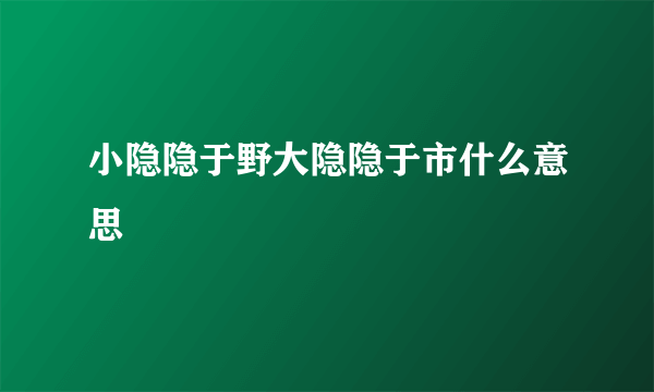 小隐隐于野大隐隐于市什么意思