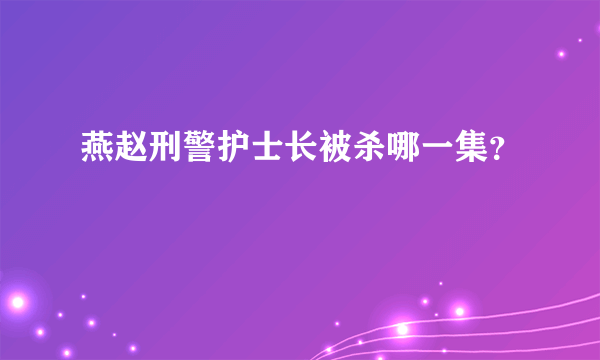 燕赵刑警护士长被杀哪一集？