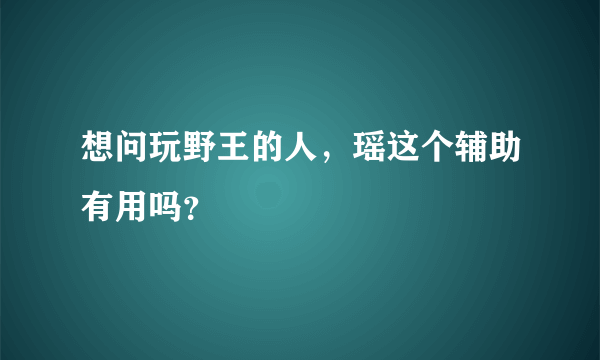 想问玩野王的人，瑶这个辅助有用吗？