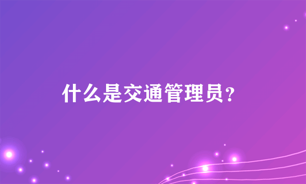 什么是交通管理员？