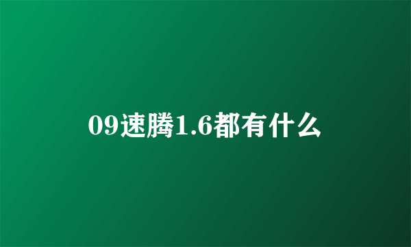 09速腾1.6都有什么