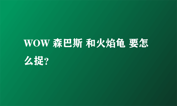 WOW 森巴斯 和火焰龟 要怎么捉？