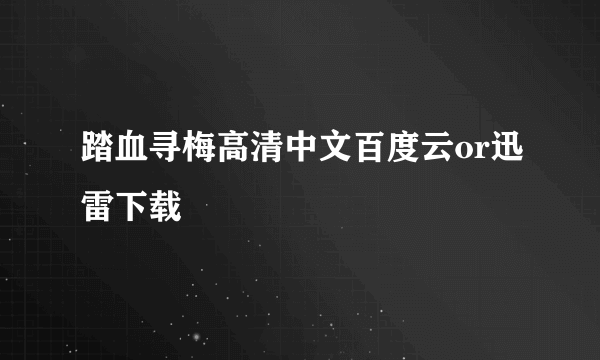 踏血寻梅高清中文百度云or迅雷下载