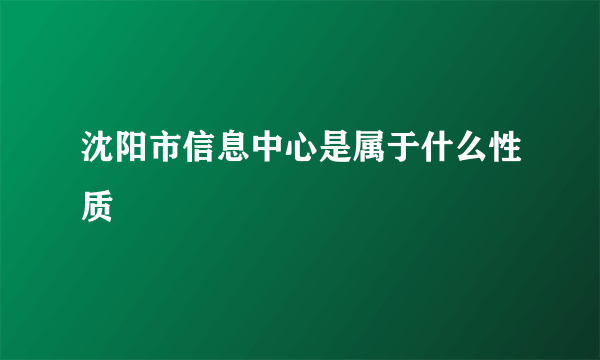 沈阳市信息中心是属于什么性质