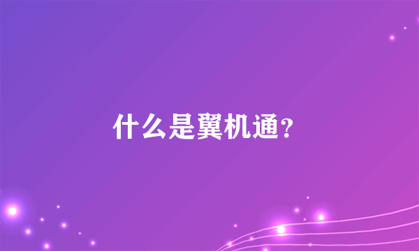 什么是翼机通？