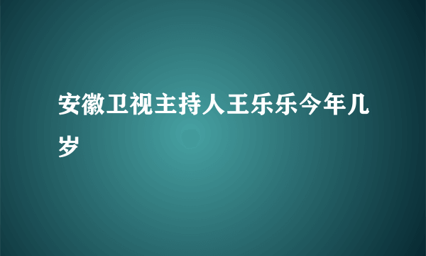 安徽卫视主持人王乐乐今年几岁