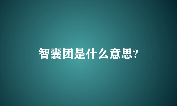 智囊团是什么意思?