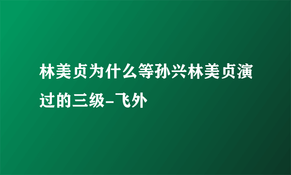 林美贞为什么等孙兴林美贞演过的三级-飞外