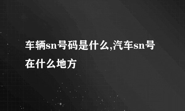 车辆sn号码是什么,汽车sn号在什么地方