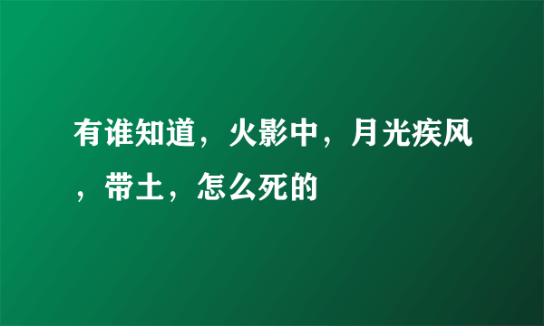 有谁知道，火影中，月光疾风，带土，怎么死的