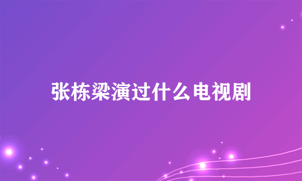 张栋梁演过什么电视剧