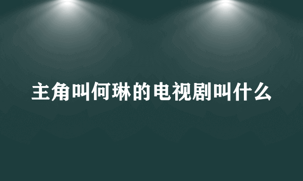 主角叫何琳的电视剧叫什么