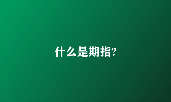 什么是期指?