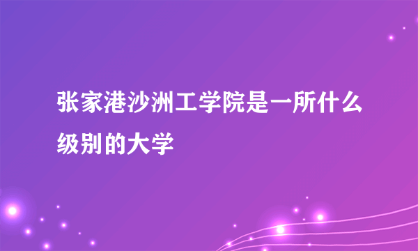 张家港沙洲工学院是一所什么级别的大学