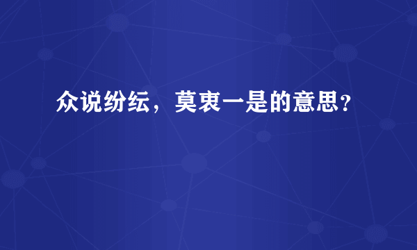 众说纷纭，莫衷一是的意思？