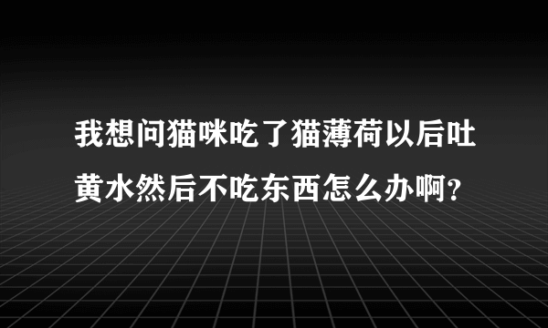 我想问猫咪吃了猫薄荷以后吐黄水然后不吃东西怎么办啊？