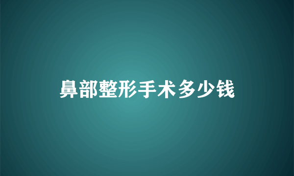 鼻部整形手术多少钱